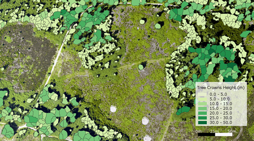Tree map