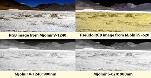 Sample images
